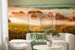 Fototapeta: Zmierzchu krajobrazowy borda wineyard france