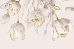 Fototapeta: Zwisające beżowe tulipany