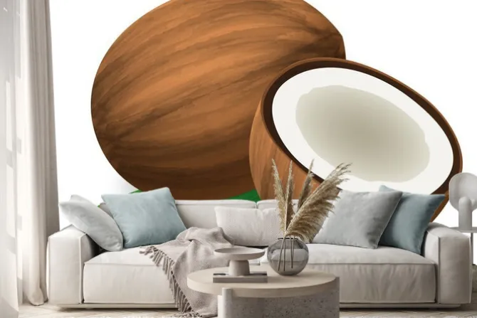 Naklejka: コ コ ナ ッ ツ