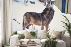 Naklejka: シ ン リ ン オ オ カ ミ の 遠 吠 え