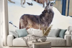 Naklejka: シ ン リ ン オ オ カ ミ の 遠 吠 え