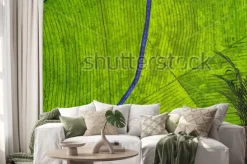 Naklejka: Aerial view of empty highway on the tea plantation. shot at subang