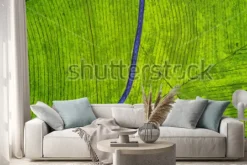 Naklejka: Aerial view of empty highway on the tea plantation. shot at subang