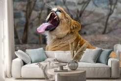 Naklejka: African lion