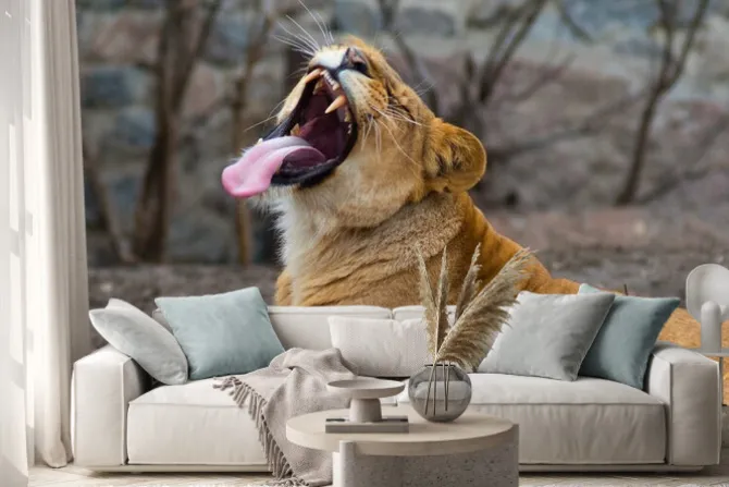 Naklejka: African lion