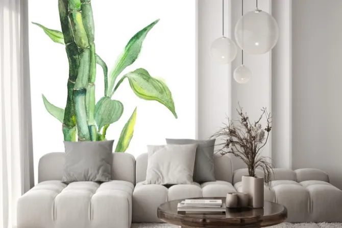 Naklejka: Akwarela bambusa ilustracji