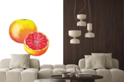 Naklejka: Akwarela grejpfruta