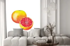 Naklejka: Akwarela grejpfruta