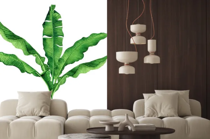 Naklejka: Akwarela malowanie zielonych li? ci izolowana na bia? ym tle.watercolor