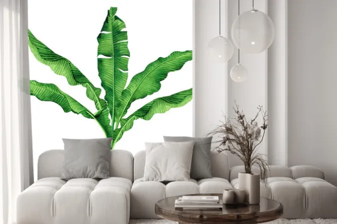 Naklejka: Akwarela malowanie zielonych li? ci izolowana na bia? ym tle.watercolor