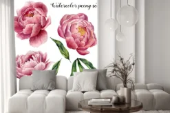 Naklejka: Akwarelowe piwonie na białym tle