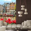 Naklejka: Amsterdamskie tulipany