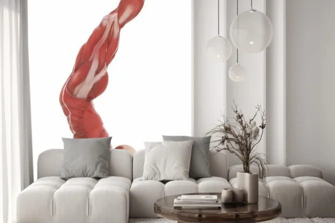 Naklejka: Anatomia map bieli samodzielnie mięśni - rozgrzać pozy