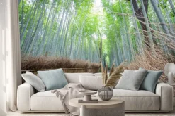 Naklejka: Arashiyama bamboo grove kioto, japonia.