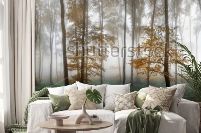 Naklejka: Autumn foggy forest. balkan mountains, bulgaria.