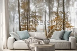 Naklejka: Autumn foggy forest. balkan mountains, bulgaria.