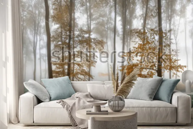 Naklejka: Autumn foggy forest. balkan mountains, bulgaria.