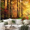 Naklejka: Autumn forest scenery with rays of warm light illumining the