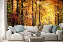 Naklejka: Autumn forest scenery with rays of warm light illumining the