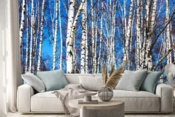 Naklejka: Białe brzozy i błękitne niebo