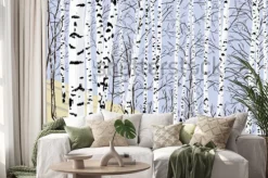 Naklejka: Birch grove in the spring