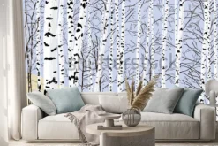 Naklejka: Birch grove in the spring