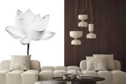 Naklejka: Black and white lotus flower isolated on white background. file