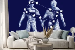 Naklejka: Bliźnięta