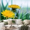 Naklejka: Bright spring natural background with dandelions