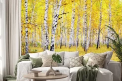 Naklejka: Brzoza jesień las