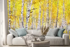 Naklejka: Brzoza jesień las