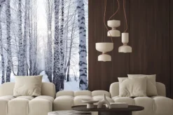 Naklejka: Brzozy w zimie