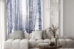 Naklejka: Brzozy w zimie