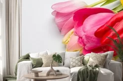 Naklejka: Bukiet wiosennych tulipanów zbliżenie na jasnoniebieskim tle,