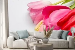 Naklejka: Bukiet wiosennych tulipanów zbliżenie na jasnoniebieskim tle,