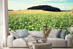 Naklejka: Campagna toscana