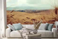 Naklejka: Campo di grano