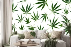Naklejka: Cannabis leaves of different sizes are isolated on a white background.