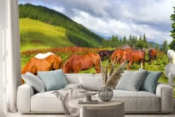 Naklejka: Carpathian mustangi w gorgany