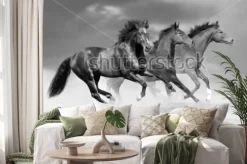 Naklejka: Ciemne galopujące po plaży konie