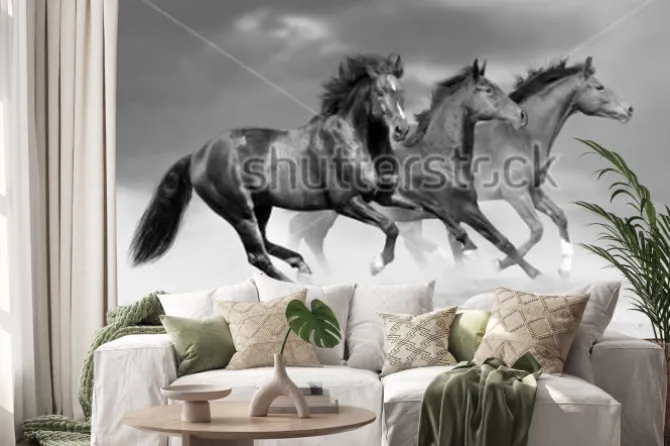 Naklejka: Ciemne galopujące po plaży konie