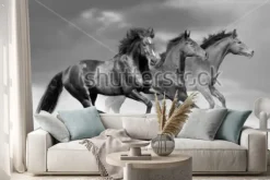 Naklejka: Ciemne galopujące po plaży konie