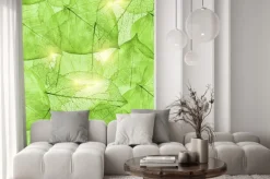 Naklejka: Ciemnozielone liście tło