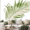 Naklejka: Concept summer with green palm leaf from tropical . frond floral