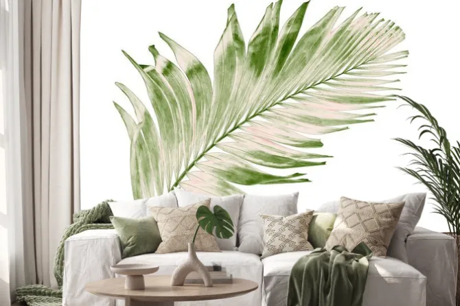 Naklejka: Concept summer with green palm leaf from tropical . frond floral