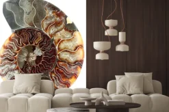 Naklejka: Cut amonit kopalnych, biały