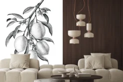 Naklejka: Cytryna gałęziasta ilustracyjna czarny i biały rocznik klamerki