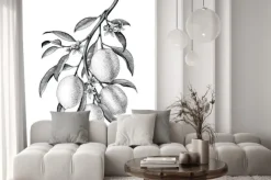 Naklejka: Cytryna gałęziasta ilustracyjna czarny i biały rocznik klamerki