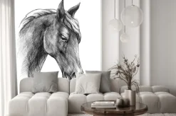 Naklejka: Czarno biały rysunek głowy konia