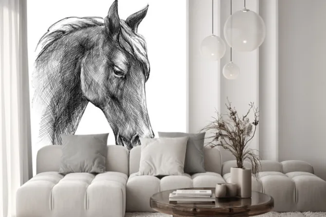 Naklejka: Czarno biały rysunek głowy konia